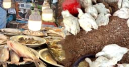 ব্রয়লারের চেয়ে মাছের দাম চড়া, গরুর মাংস কেজি ৮০০ টাকা