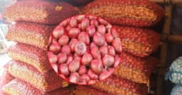 আবারও অস্থির পেঁয়াজের বাজার, বেড়েই চলেছে দাম