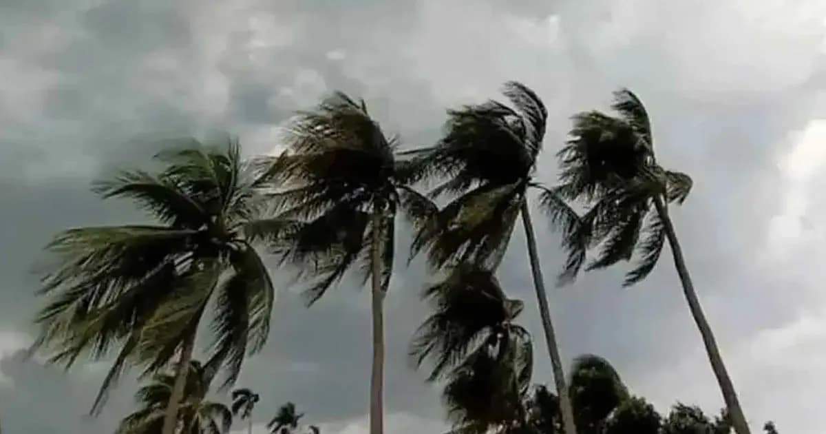 রাতের মধ্যে ১৫ অঞ্চলে ঝড়ের শঙ্কা, নদীবন্দরে সতর্কতা