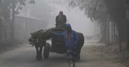 তেঁতুলিয়ায় তাপমাত্রা নেমে ১১ ডিগ্রির নিচে, বাড়ছে শীতের দাপট