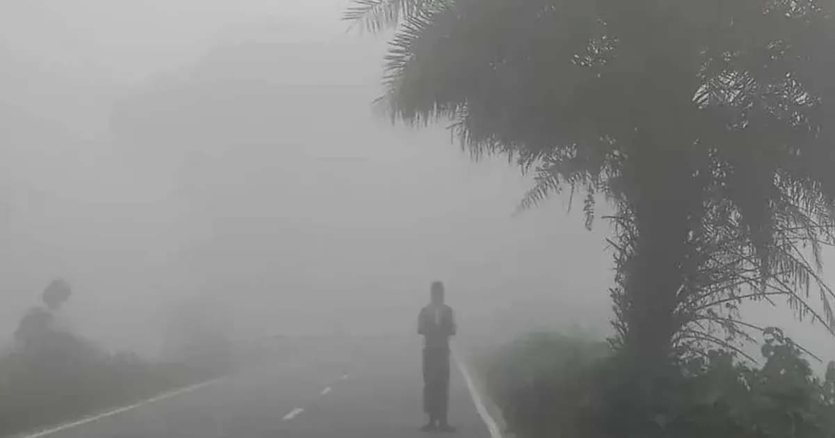 ঘন কুয়াশায় ঢাকবে দেশ, থমকে যেতে পারে যোগাযোগ