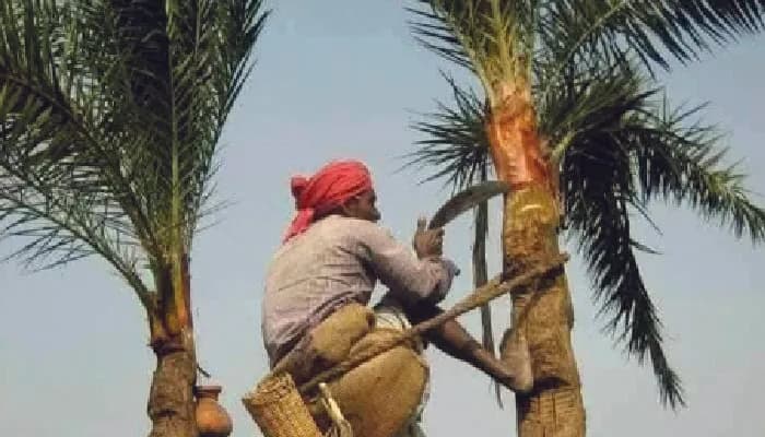 কালের বিবর্তনে বাউফলে হারিয়ে যাচ্ছে ঐতিহ্যবাহী খেজুরে রস