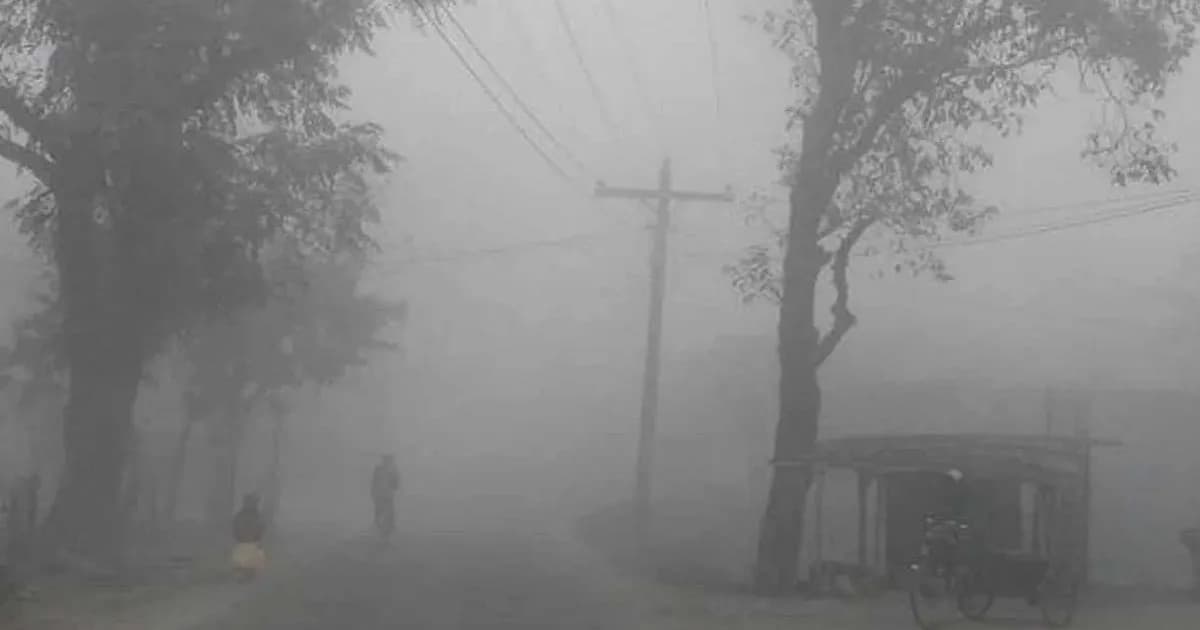 রাজশাহীতে গুঁড়ি গুঁড়ি বৃষ্টি, আরও জেঁকে বসতে পারে শীত