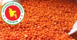 নিম্ন আয়ের পরিবারের জন্য ৭৭ কোটি টাকার মসুর ডাল কিনবে সরকার