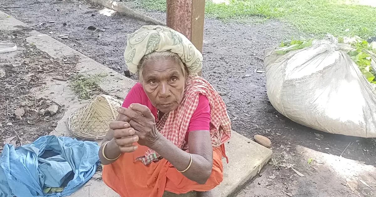 চা-বাগানে হাসপাতাল আছে, চিকিৎসক নেই