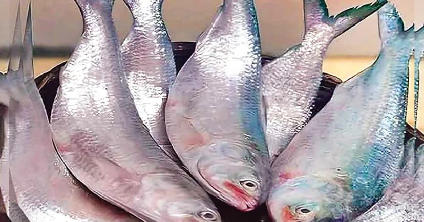 নববর্ষের আগেই দাম বাড়ল ইলিশের, মুরগীও পিছিয়ে নেই