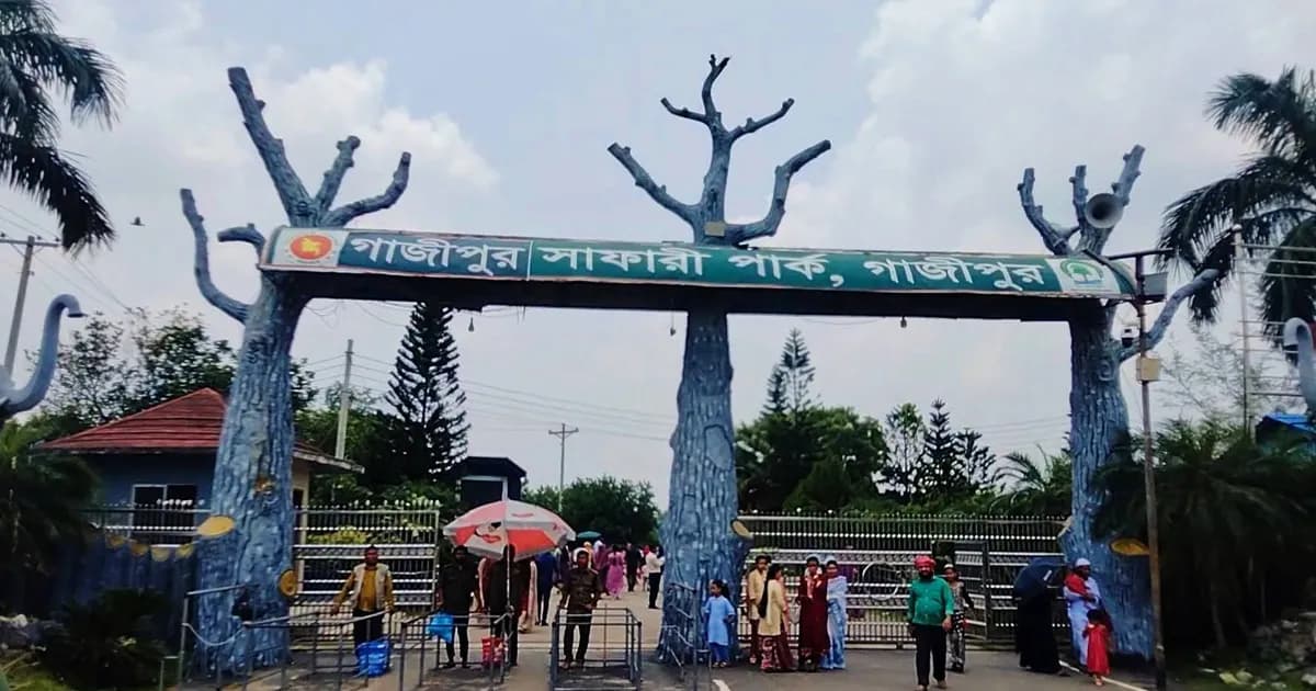 সাফারি পার্কে মা-ছেলেদের ওপর হামলা, ছিনতাইয়ের অভিযোগ