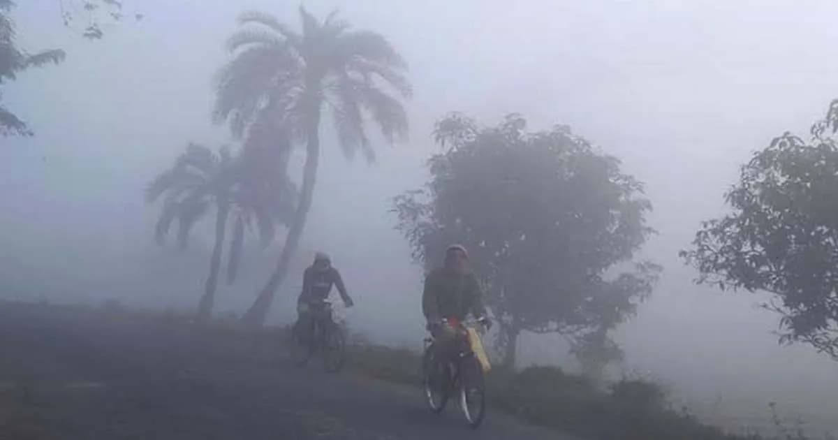 শীতে জমে গেছে চুয়াডাঙ্গা, সর্বনিম্ন তাপমাত্রার রেকর্ড