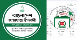 পোস্টাল ভোটে বাজিমাত জামায়াতের, দুই আসনে পাল্টালো চূড়ান্ত ফল