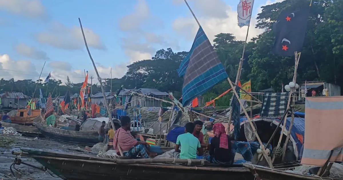 ভরা মৌসুমেও মেঘনায় ইলিশের দেখা নেই, দুশ্চিন্তায় জেলেরা