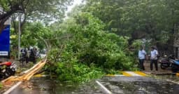অন্ধ্রপ্রদেশে আছড়ে পড়ল ঘূর্ণিঝড় ‘অর্ণব’, উপকূলে ঝোড়ো হাওয়ার তাণ্ডব
