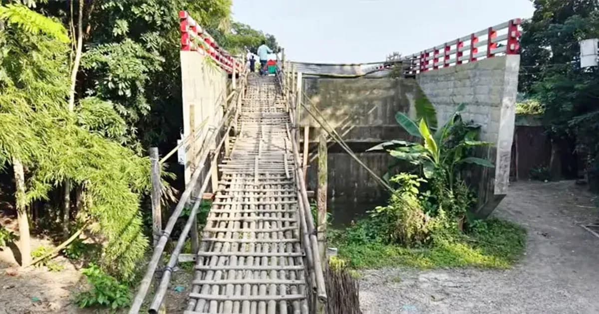 কোটি টাকার সেতুতে উঠতে বাঁশের সিঁড়িই ভরসা