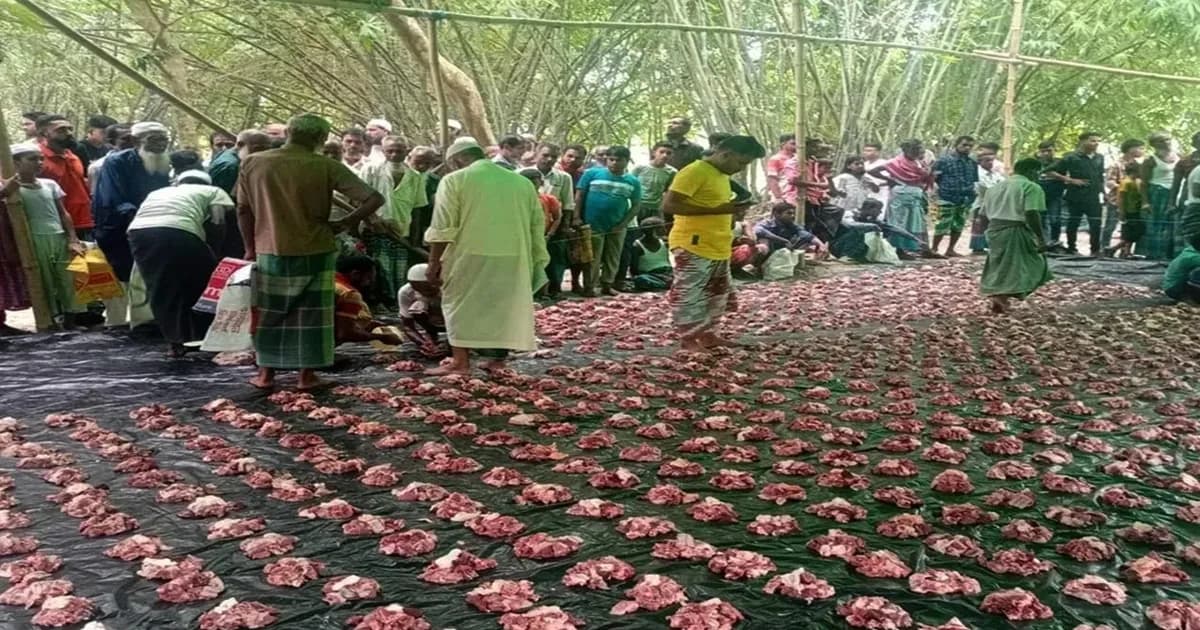 দুই শতাব্দীর ঐতিহ্য ধরে সম্মিলিত কোরবানি, ১৬৬০ পরিবারে মাংস বিতরণ