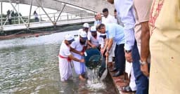 জিয়া ‍উদ্যানের লেকে মাছের পোনা অবমুক্ত করলেন প্রধানমন্ত্রী