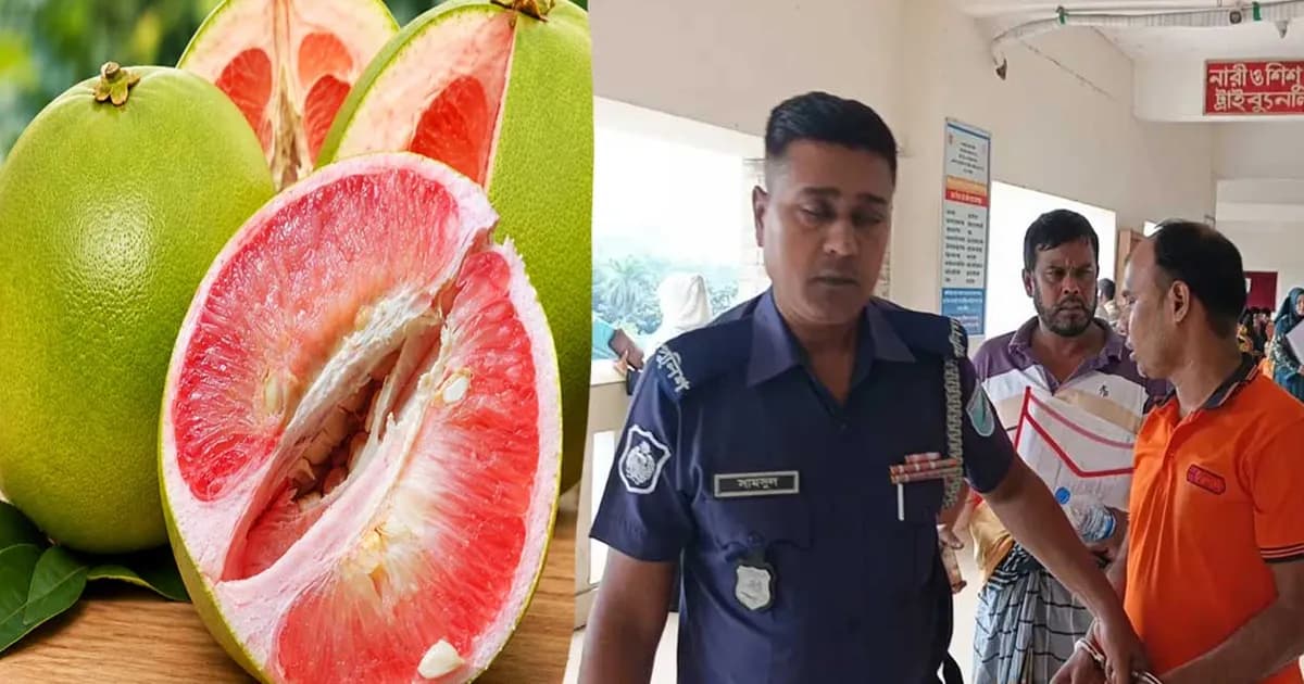 জাম্বুরা খাওয়ানোর লোভ দেখিয়ে শিশুকে ঘরে নিয়ে ধর্ষণচেষ্টা