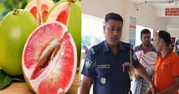 জাম্বুরা খাওয়ানোর লোভ দেখিয়ে শিশুকে ঘরে নিয়ে ধর্ষণচেষ্টা