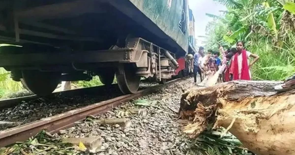 গাছের ডালে ধাক্কা লেগে লাইনচ্যুত যাত্রীবাহী ট্রেন