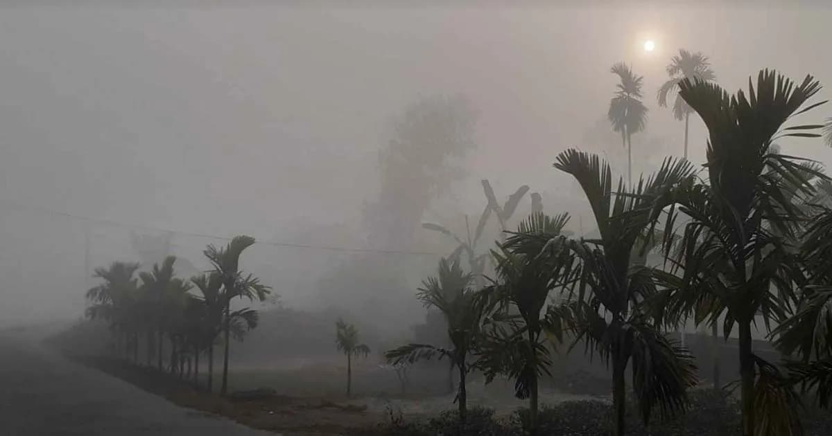 আগামীকাল দিনের তাপমাত্রা কমতে পারে ৩ ডিগ্রি