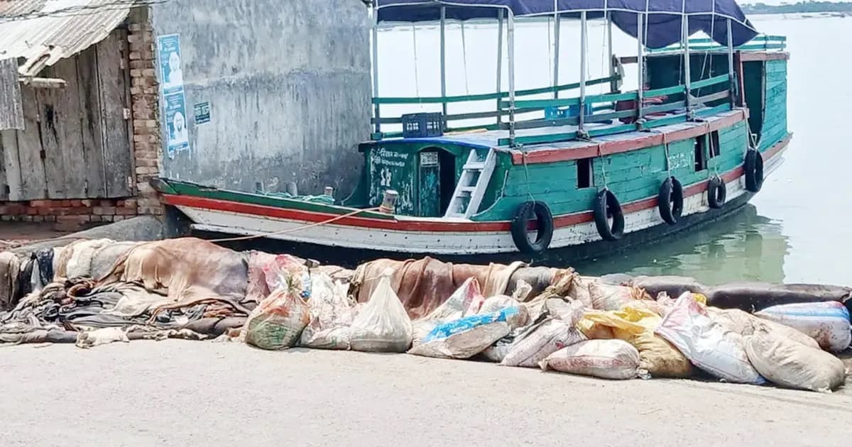 নদীর পাড়ে ফেলে রাখা হচ্ছে কোরবানির চামড়া