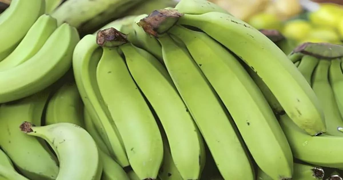 স্কুল ফিডিং কেলেঙ্কারি : কাঁচা কলা বিতরণে শিক্ষিকা বরখাস্ত