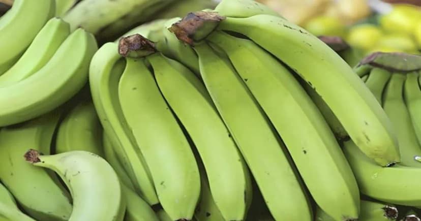 স্কুল ফিডিং কেলেঙ্কারি : কাঁচা কলা বিতরণে শিক্ষিকা বরখাস্ত