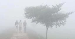 শৈত্যপ্রবাহের কবলে যে ৭ জেলা