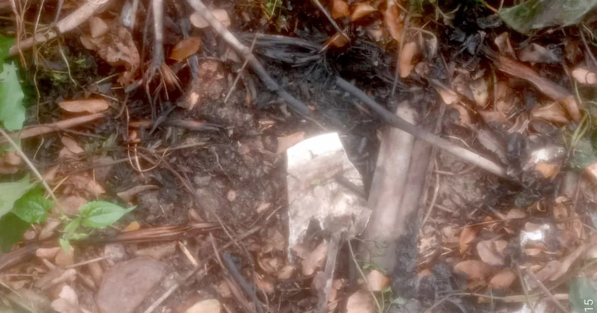 ধুনটে মন্দিরে অগ্নিসংযোগের চেষ্টা, বড় ধরনের ক্ষতি এড়ানো গেল