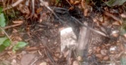 ধুনটে মন্দিরে অগ্নিসংযোগের চেষ্টা, বড় ধরনের ক্ষতি এড়ানো গেল