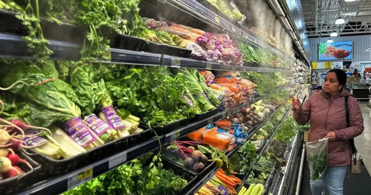 যুদ্ধের প্রভাবে বিশ্ববাজারে খাদ্যপণ্যের দাম ঊর্ধ্বমুখী