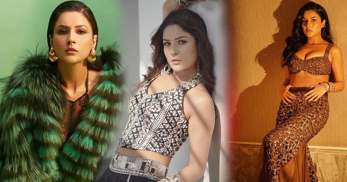 পরকীয়া সমর্থনের মন্তব্যে তোপের মুখে শেহনাজ গিল