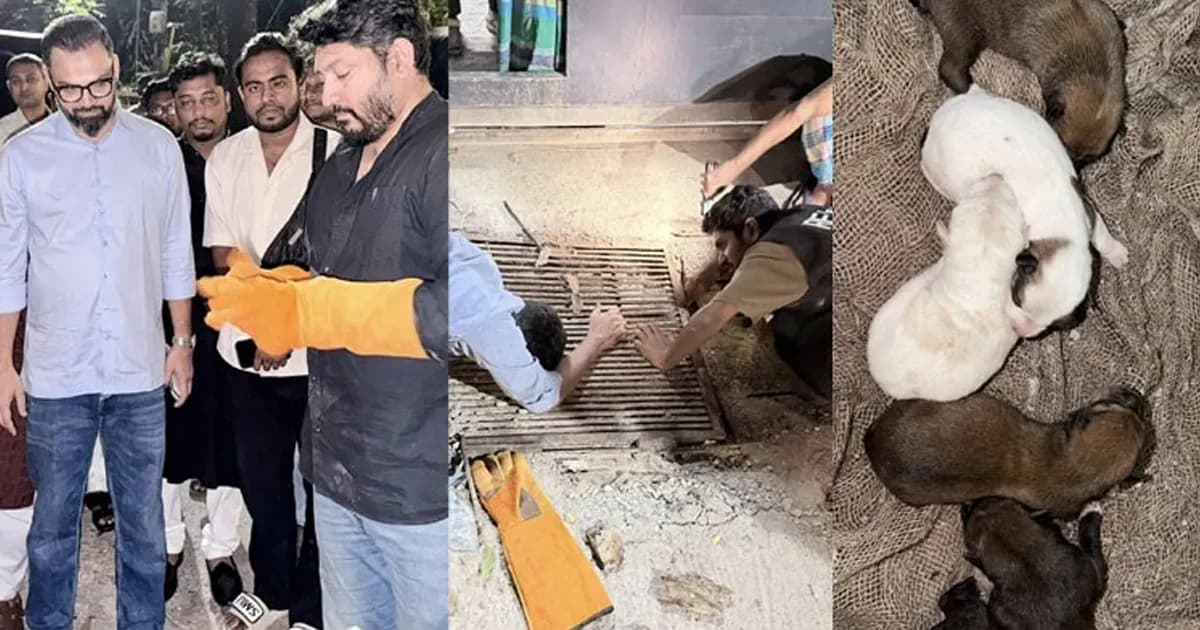 গভীর রাতে আটকে পড়া কুকুরছানা উদ্ধার করলেন ক্রীড়া প্রতিমন্ত্রী