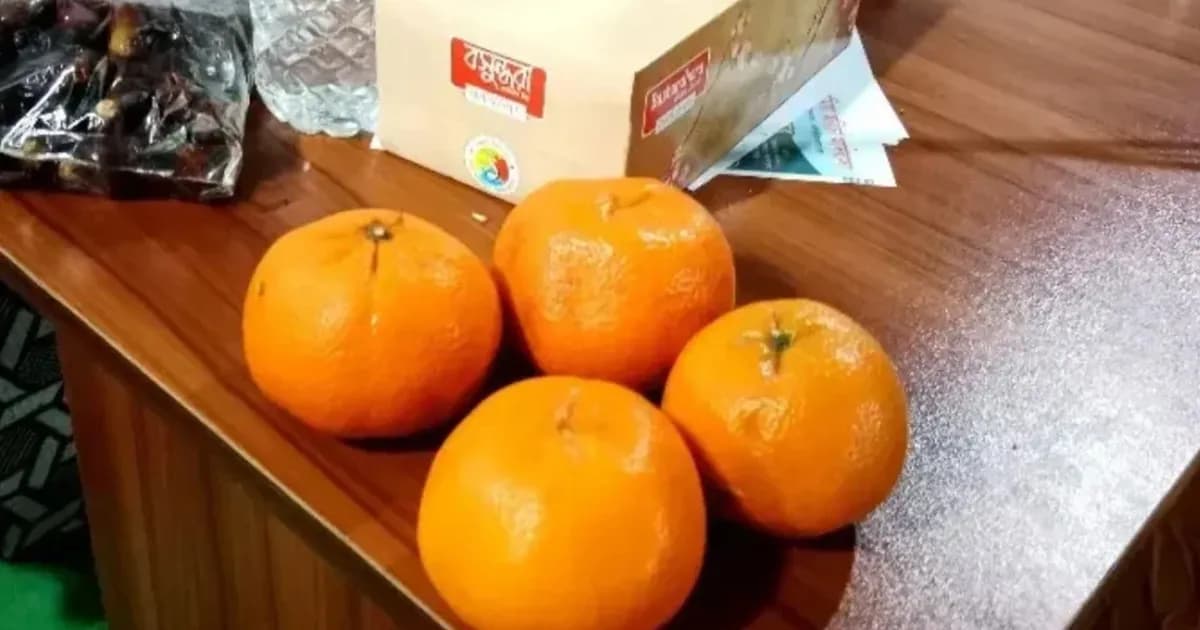 মৌলভীবাজারে এক হালি কমলা বিক্রি হলো ৫০ হাজার টাকায়