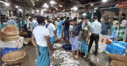 কাগজে তিনগুণ থাকলেও বাজারে নেই ইলিশ