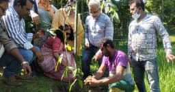 নেত্রকোণায় ৫০০ গাছ লাগানোর উদ্যোগ, পরিচর্যায় জোর ইউএনওর