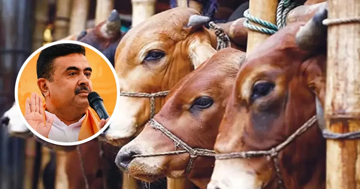 পশ্চিমবঙ্গে অনুমতি ছাড়া গরু ও মহিষ জবাই করা যাবে না: বিজেপি
