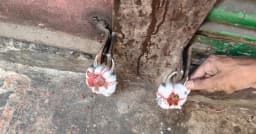 রাজধানীর বনানীতে রাজউকের উচ্ছেদ অভিযান