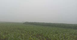 ঘন কুয়াশা আর কনকনে ঠান্ডায় স্থবির চুয়াডাঙ্গা