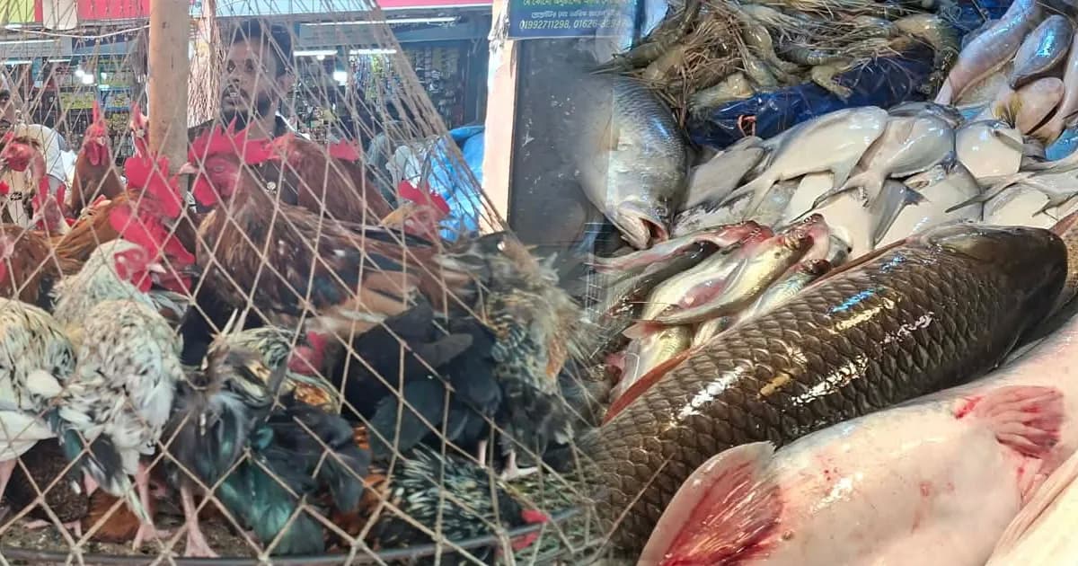 খুচরা বাজারে আবারও বেড়েছে নিত্যপ্রয়োজনীয় খাদ্যপণ্যের দাম