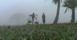 সারা দেশে রাত–দিনের তাপমাত্রা কমতে পারে