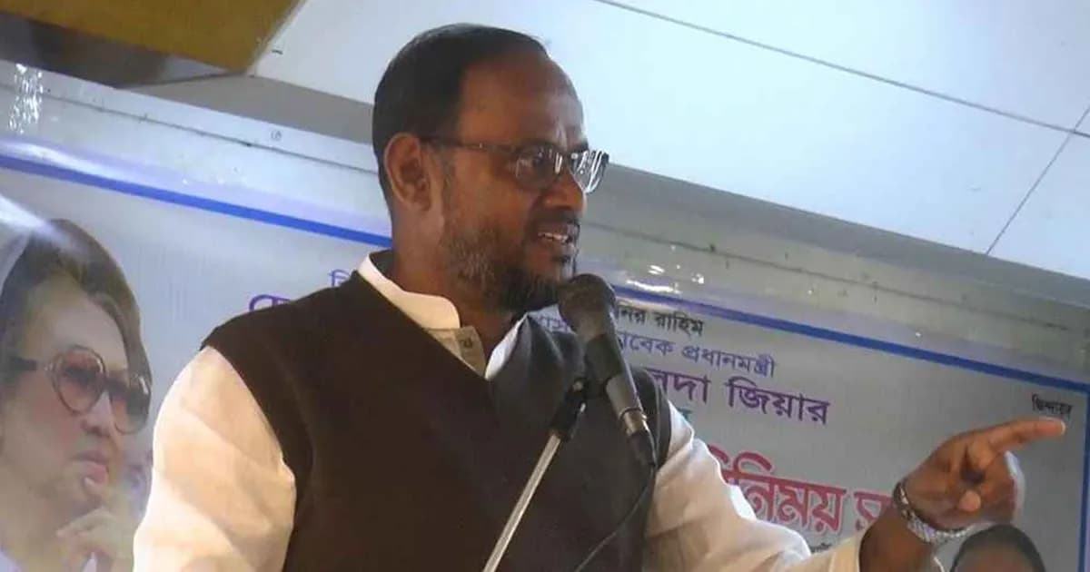 যতবার গণতন্ত্র হোঁচট খেয়েছে ততবারই বিএনপি টেনে তুলেছে: টুকু