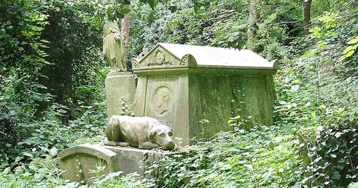 লন্ডনের রক্তচোষা গোরস্থান ঘিরে ভয়ঙ্কর যা জানা গেল