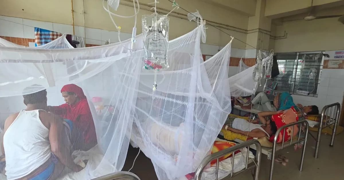 ভোলায় এক মাসে তিন গুণ বেড়েছে ডেঙ্গু রোগী
