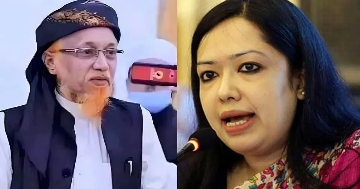 জোটের প্রার্থী জুনায়েদ আল হাবিব, স্বতন্ত্র প্রার্থী হিসেবে লড়বেন রুমিন ফারহানা