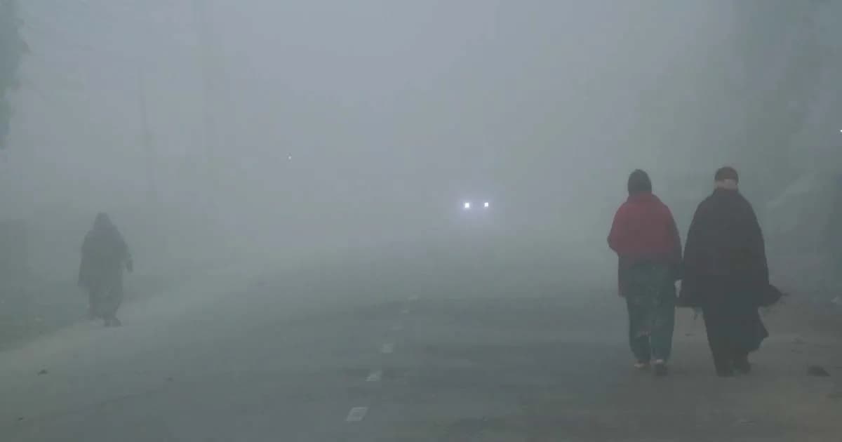 কুয়াশার চাদরে ঢেকে গেছে তেঁতুলিয়া, বেড়েছে শীতের দাপট