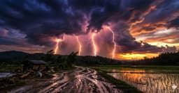 নেত্রকোনায় বজ্রপাতে তিনজনের মৃত্যু