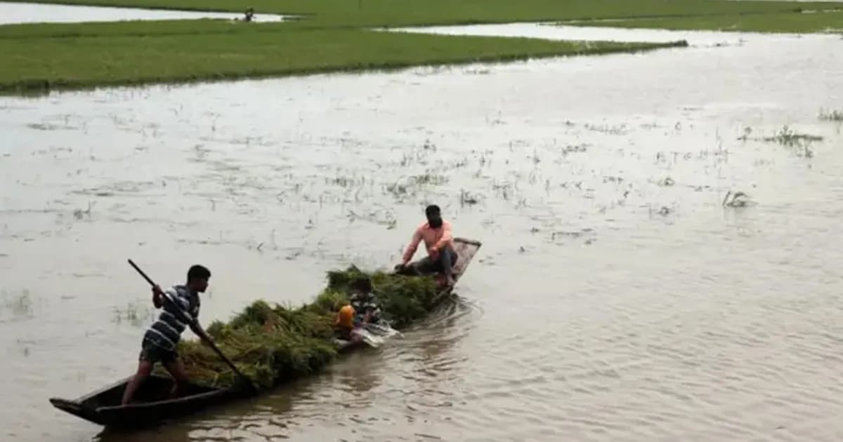 মৌলভীবাজারে হাওরে নৌকা ডুবে চা শ্রমিকের মৃত্যু