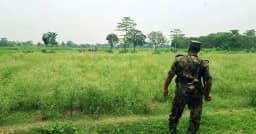পুশইনের ছক ভেস্তে দিল বিজিবি, ২০ জনকে ফিরিয়ে নিল বিএসএফ