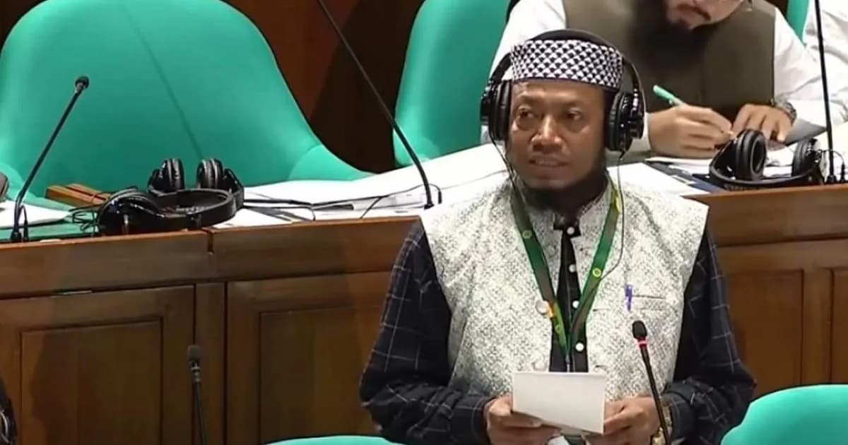 প্রথমবার সংসদে সুযোগ পেয়ে যে দাবি জানালেন আমির হামজা