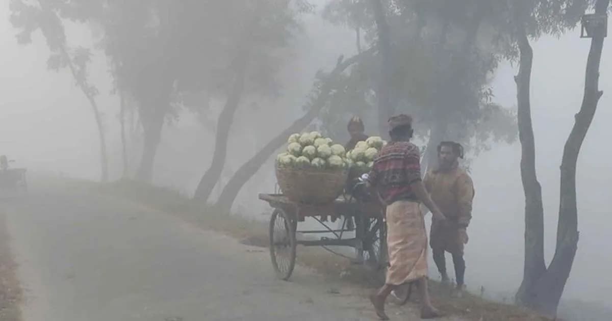 ৭ জেলার ওপর দিয়ে বইছে মৃদু শৈত্যপ্রবাহ