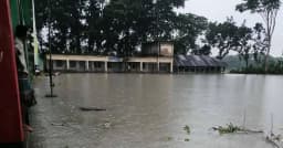 বিষখালীর ভাঙনে নলছিটিতে হুমকির মুখে দুই বিদ্যালয়